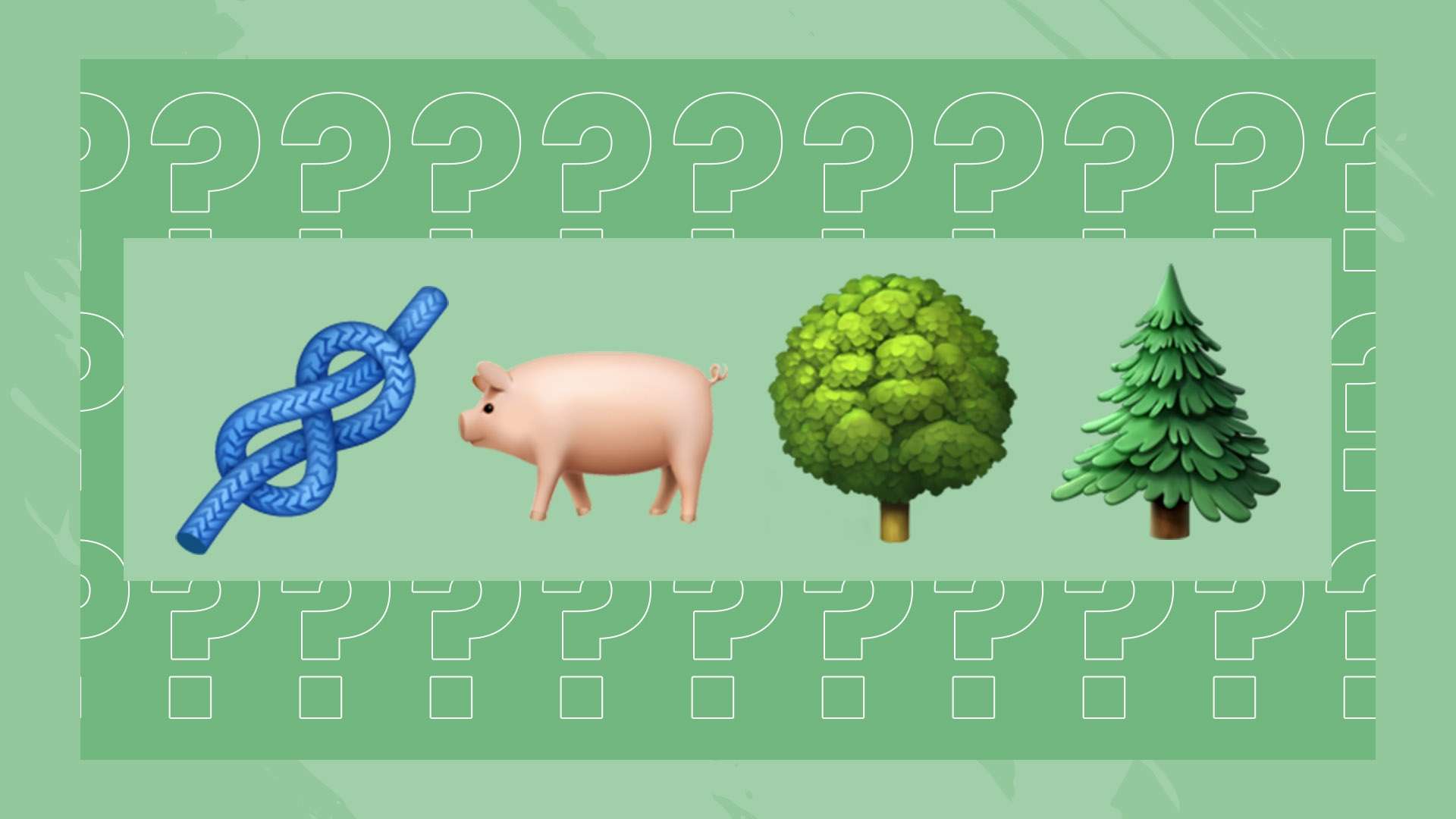 85比78爆冷夺冠！广东男篮狂揽6金，杜锋笑开花！